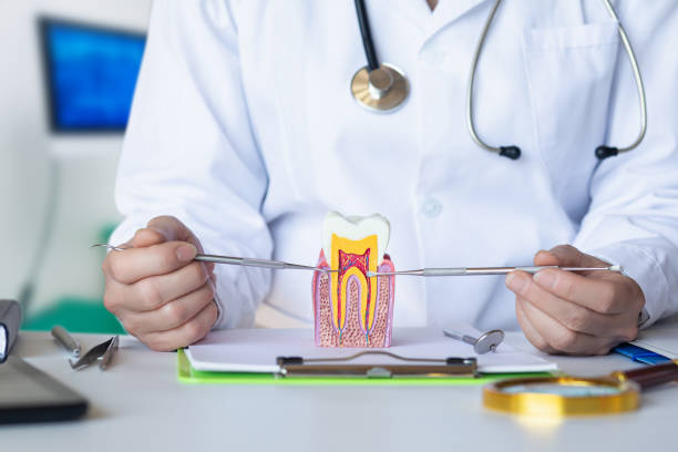 Best Emergency Treatment for Toothache in Monticello, MS